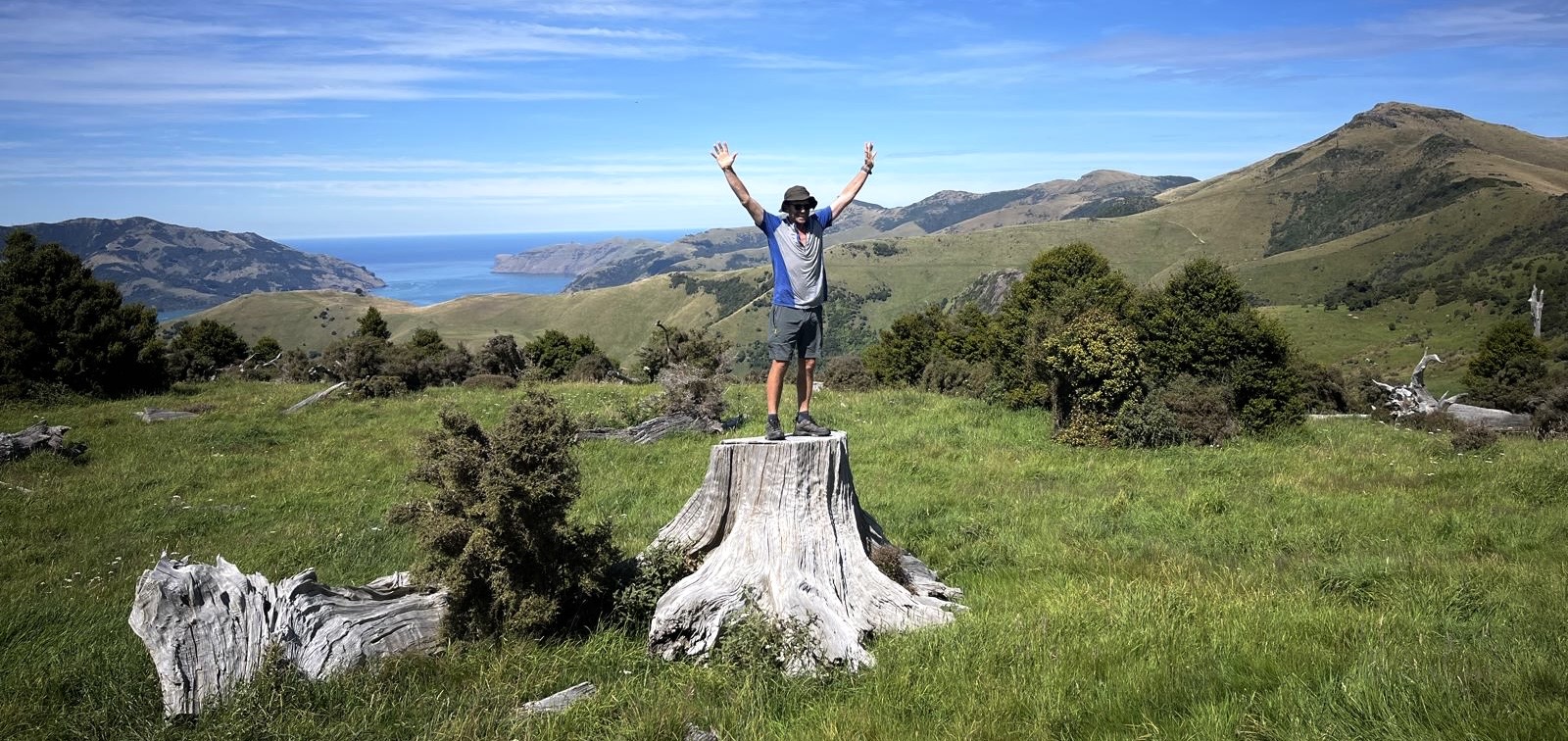 Person celebrating on a hike above Akaroa Harbour
